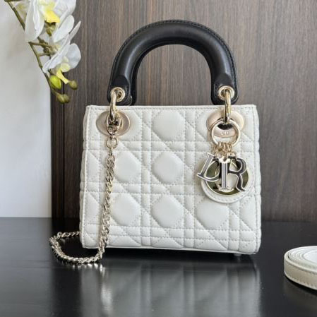 chr1st1an D10r my lady bags